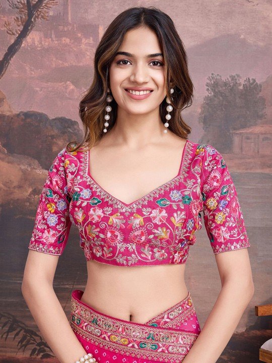 embroidered saree with blouse embroidered saree with blouse